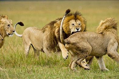 《自杀小队：战胜正义联盟》新预告介绍死亡射手